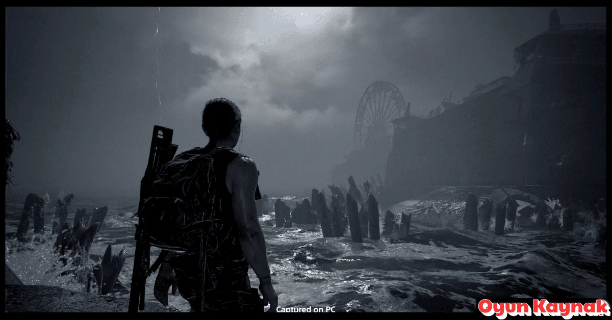 Last Of Us 2 Indir