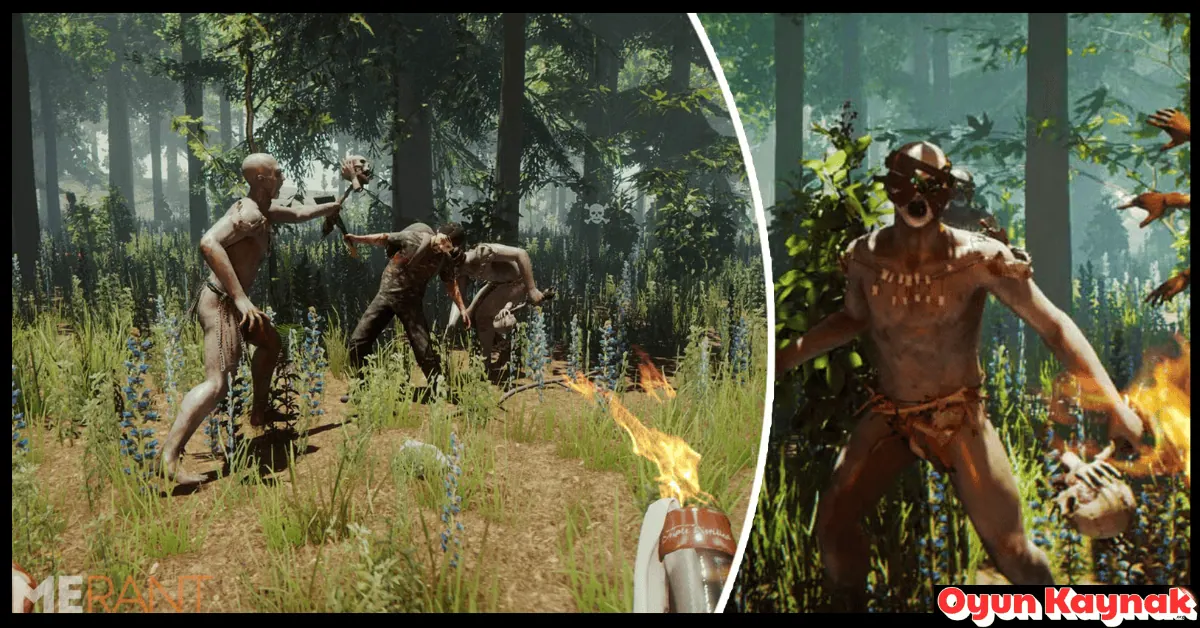The Forest